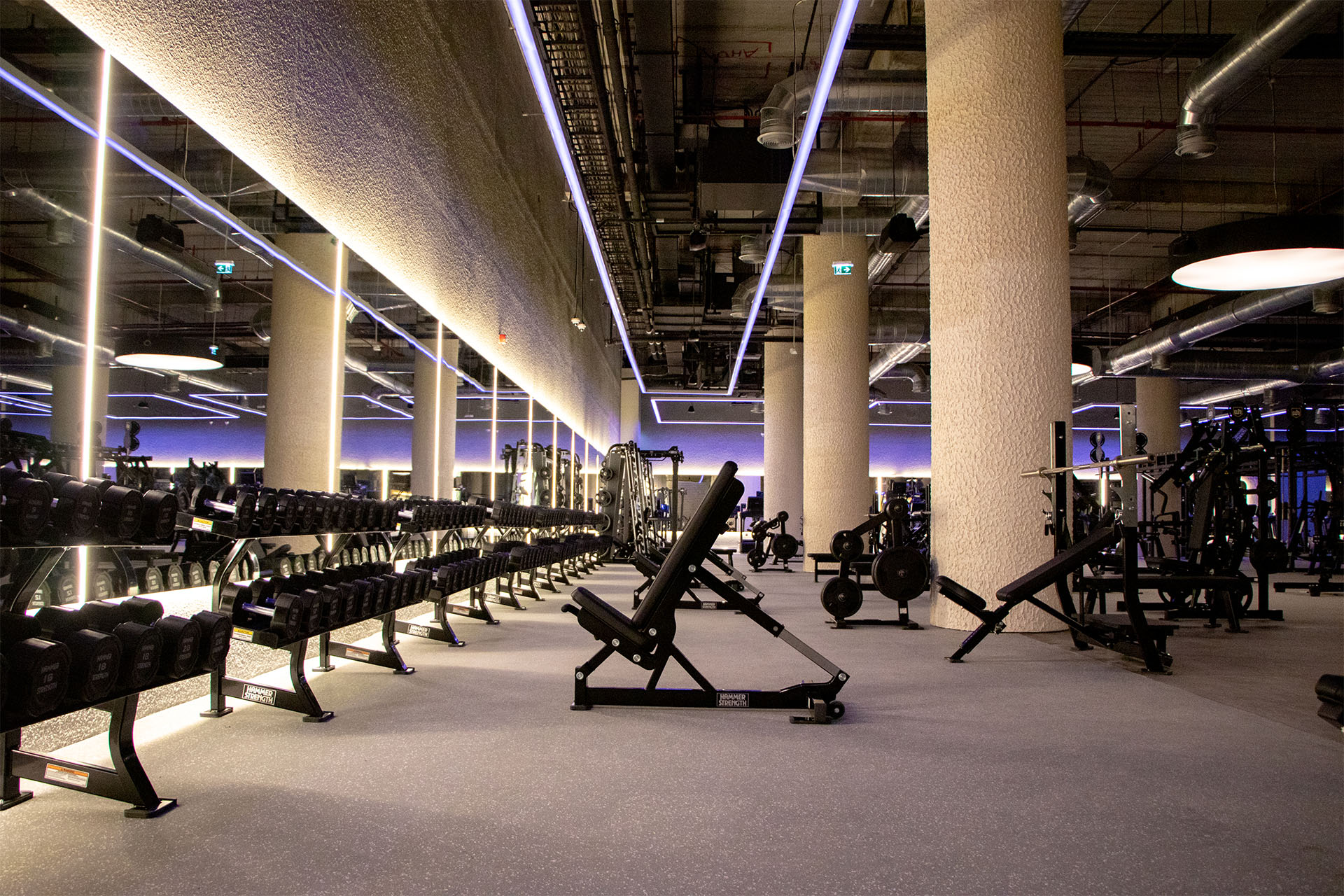 Pumping Iron In Style: Warehouse Gym - Your Destination For Fitness ...